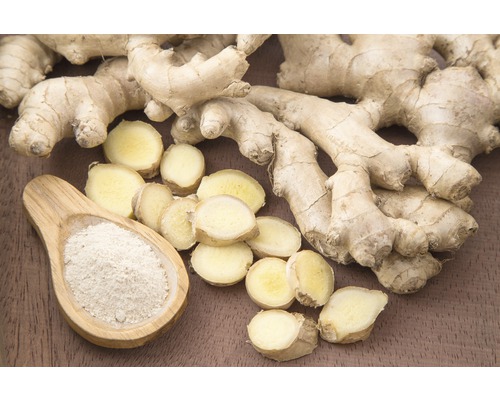 Zázvorový koreň s plátkami zázvoru a zázvorovým práškom