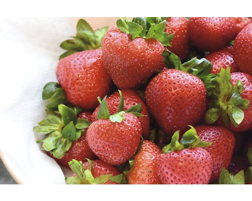 Detailný záber na čerstvé jahody