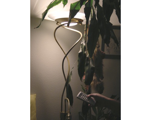 Stojacia lampa s diaľkovým ovládaním a izbovou rastlinou