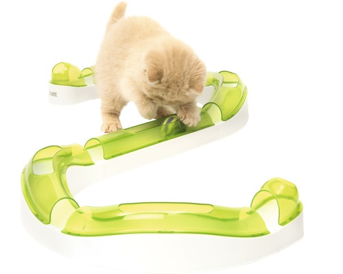 Mačka sa hrá s interaktívnou hračkou