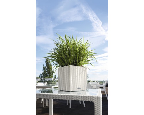 Štvorcový kvetináč so zelenými rastlinami na stole vonku