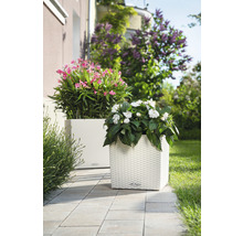 Dva štvorcové kvetináče s kvetmi na terase.