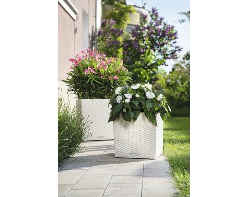 Dva štvorcové kvetináče s kvetmi na terase.