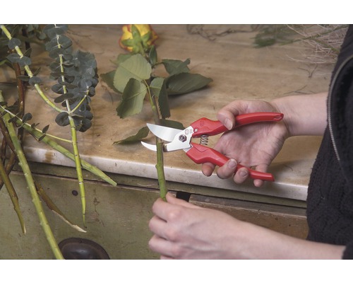 Záhradník strihá stonku záhradnými nožnicami