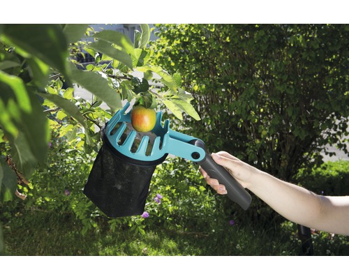 Zberač jabĺk v akcii s jablkom na strome