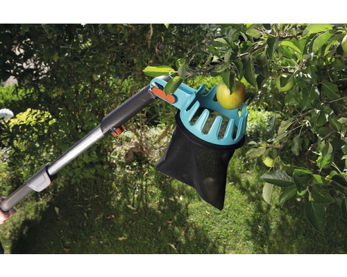 Zberač jabĺk na strome s jablkami