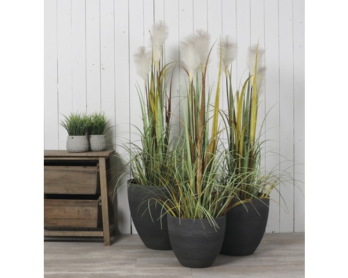 Ozdobné trávy v kvetináčoch vedľa drevenej komody pred bielou stenou