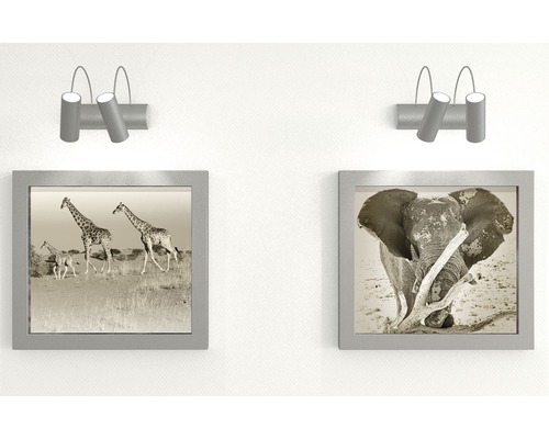 Nástenná dekorácia s dvoma obrazmi zvierat a dvoma reflektormi