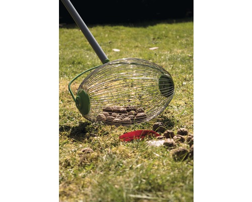 Zberač orechov na lúke s orechmi