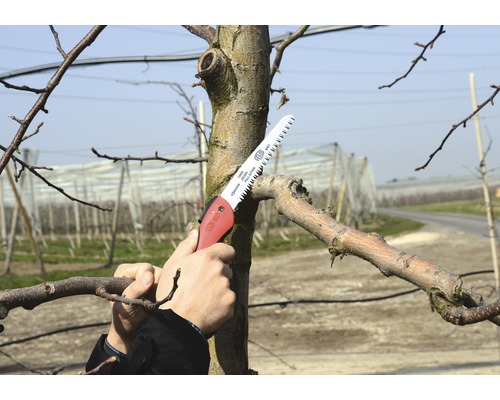 Osoba odreže konár ručnou pílou.