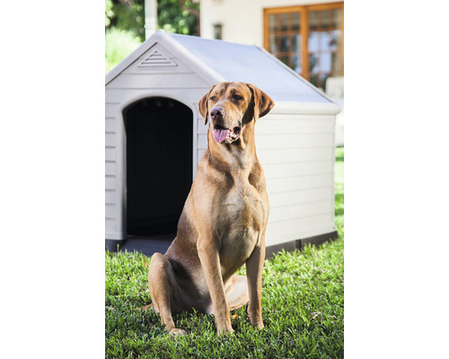 Pes sedí pred plastovou psou búdou v záhrade