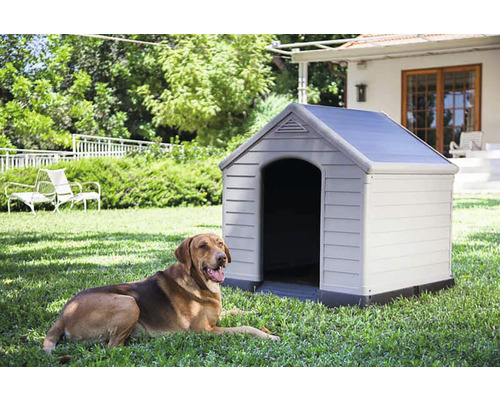 Pes leží pred búdou v záhrade.