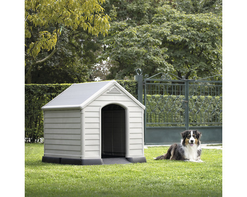 Plastová psia búda so psom v záhrade