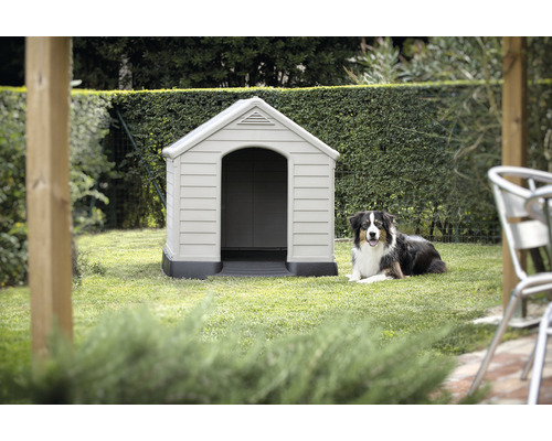 Plastová psia búda so psom v záhrade