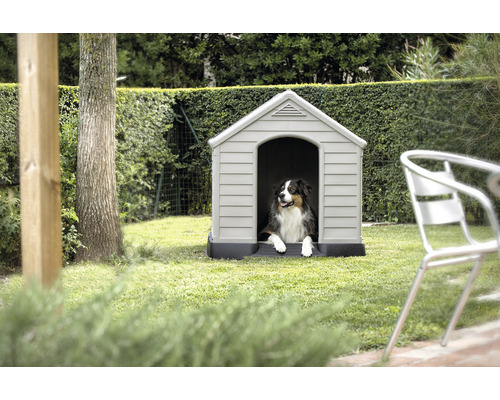 Psia búda v záhrade so psom