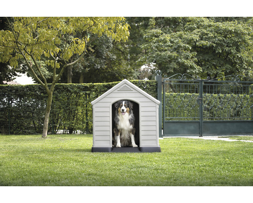 Plastová psia búda so psom v záhrade