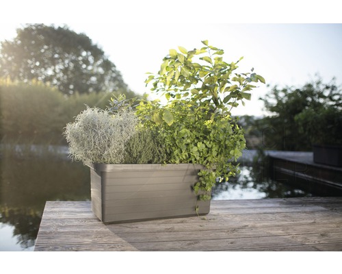 Sivý kvetináč s rastlinami na drevenej terase