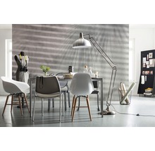 Fototapeta Tiene rastlín 368x248 cm