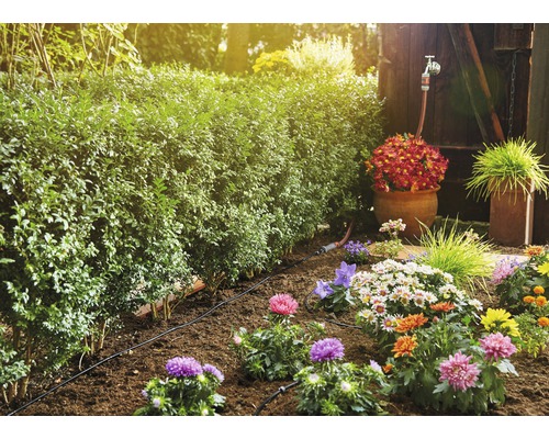 Záhradný zavlažovací systém s rastlinami a živým plotom v záhrade