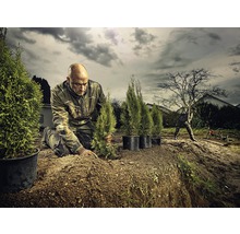 Pracovná bunda HAMMER WORKWEAR veľkosť XXL olivová