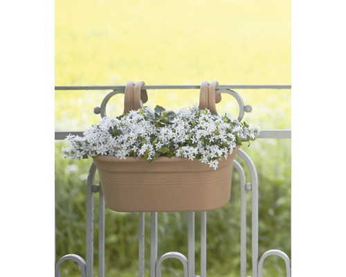 Kvetináč s bielymi kvetmi na balkónovom zábradlí