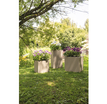 Tri osadené kvetináče na trávniku v záhrade.