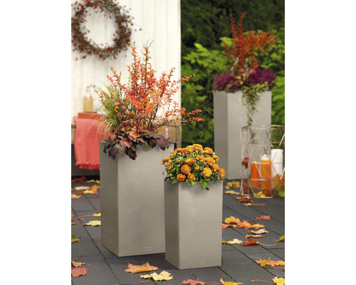 Dva osadené plastové kvetináče v záhrade.