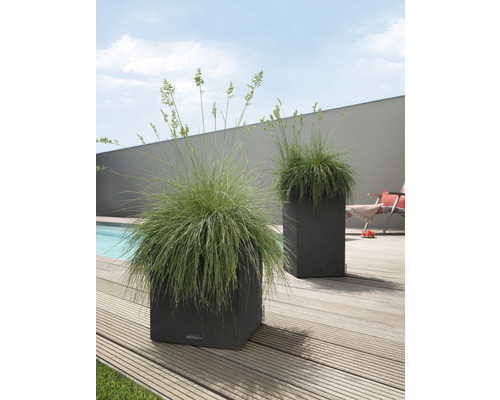 Dva štvorcové kvetináče s trávami na drevenej terase