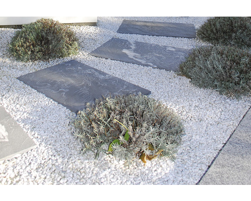 Záhradný chodník so sivými nášľapnými doskami a bielym ozdobným štrkom