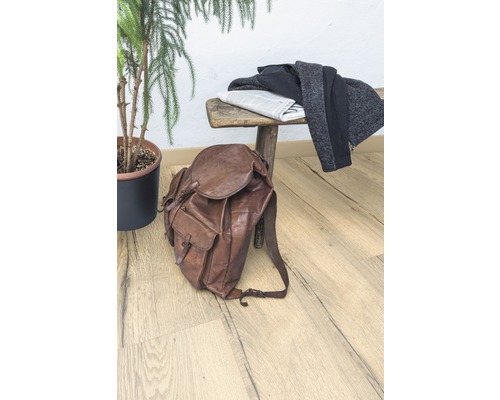 Scéna s hnedým koženým batohom, novinami, oblečením na drevenej lavici a izbovou rastlinou.