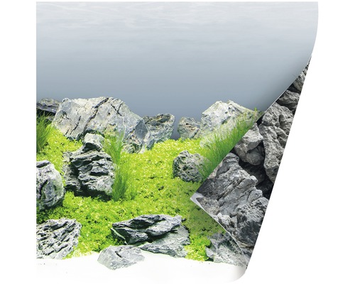 Pozadie akvária s kameňmi a rastlinami