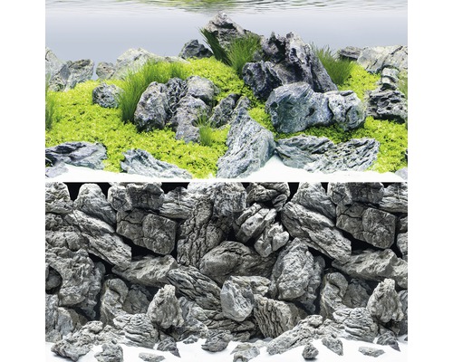 Dekorácia akvária s kameňmi a rastlinami