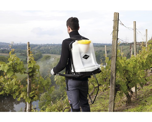 Osoba používa chrbtový postrekovač vo vinici na ničenie škodcov.