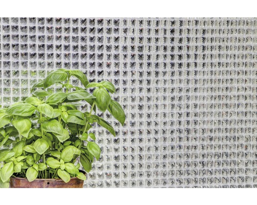 Bazalka v kvetináči pred stenou zo sklenených tvárnic