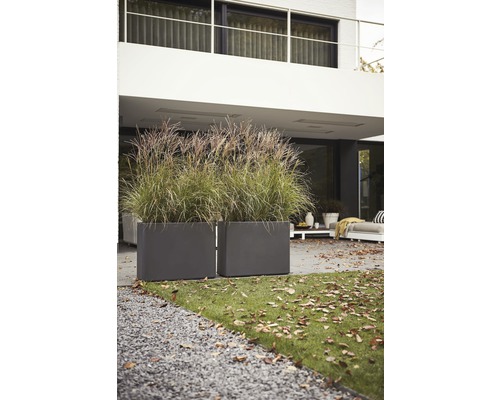 Dva obdĺžnikové plastové kvetináče s okrasnou trávou v záhrade