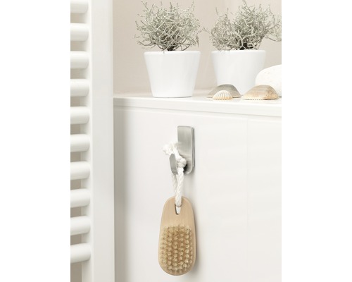 Kúpeľňová scéna s rastlinami v kvetináčoch, mušľami a kefou visiacou na háku