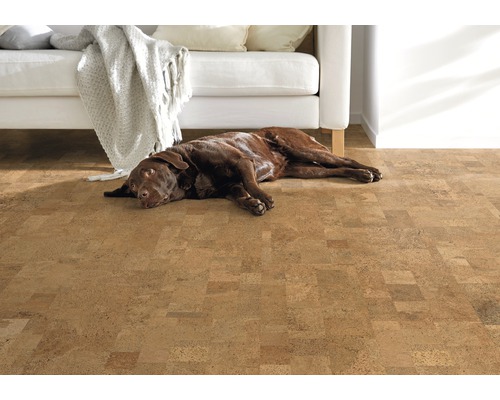 Hnedý pes leží na korkovej podlahe vedľa bielej pohovky