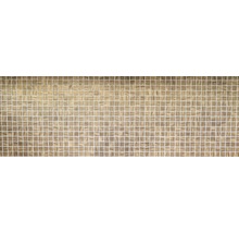 Sklenená mozaika TINA 05 31,5x31,5 cm