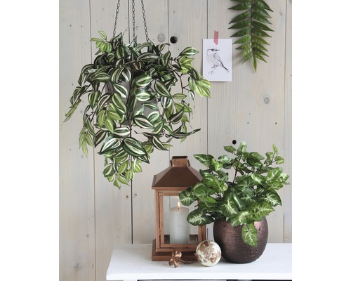 Dekoratívny interiér s visiacou rastlinou, izbovou rastlinou a lampášom na stole.