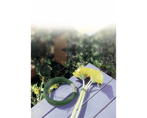 Zelený viazací drôt vedľa žltých kvetov gerbery na povrchu