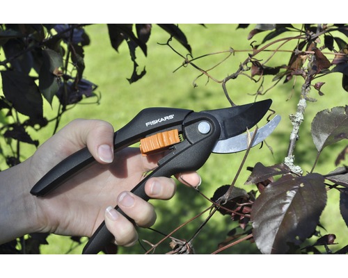 Ruka strihá konár záhradnými nožnicami značky Fiskars