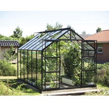 Skleník s rastlinami v záhrade