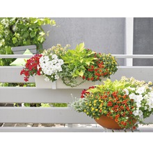 Kvetináče s rôznymi letničkami na balkóne