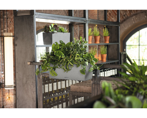 Scéna s osadenými sivými kvetináčmi na kovovom regáli.