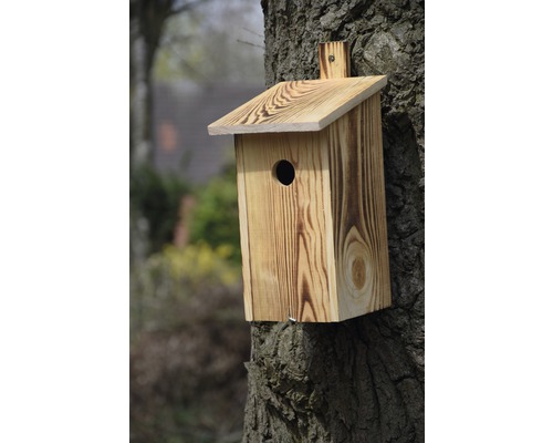 Drevená búdka pre vtáky namontovaná na strome
