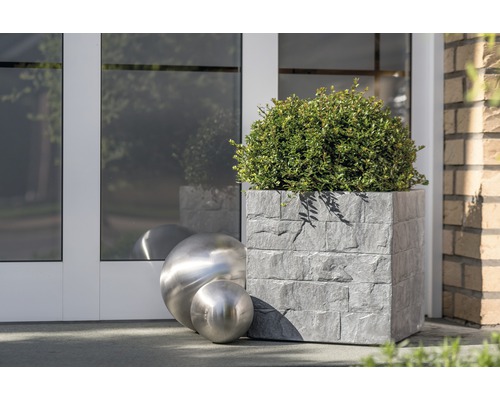 Štvorcový kamenný kvetináč s krušpánom a dvoma kovovými guľami