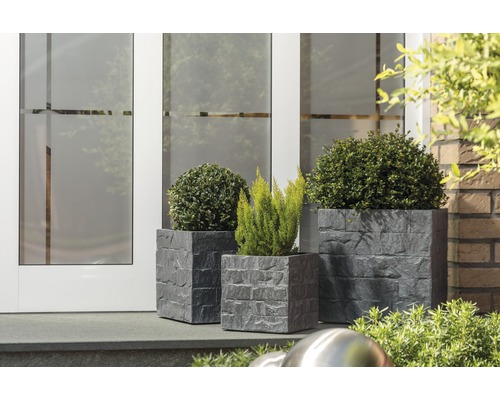 Tri kvetináče s rastlinami pred budovou