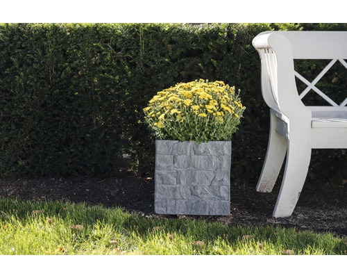 Kvetináč so žltými kvetmi a lavička v záhrade