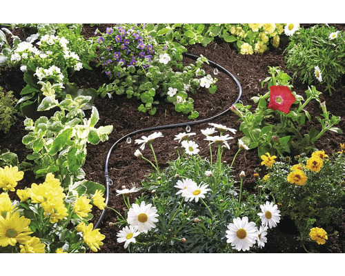 Záhrada s kvetmi a zavlažovacou hadicou