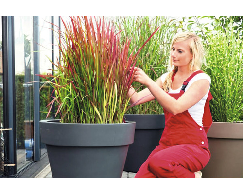 Žena sa stará o okrasnú trávu v kvetináči.